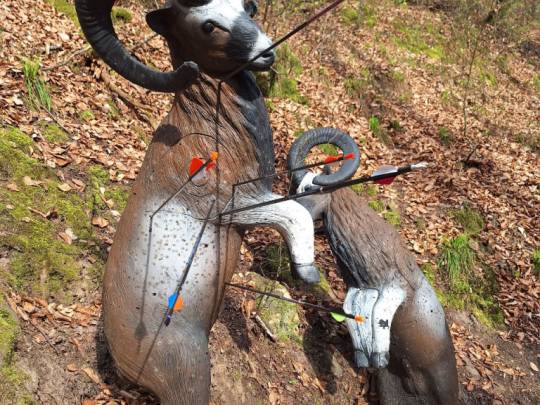 3. Bodenverschießturnier Kleinwallstadt